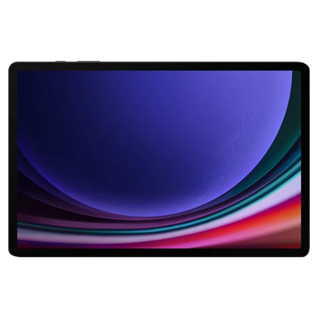 Samsung Galaxy Tab S9+ 5G 256 GB