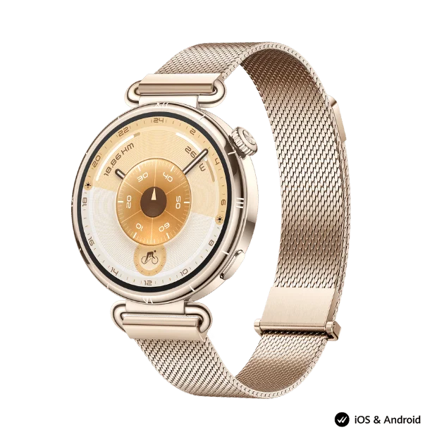 Smart Watch Huawei GT 6 41mm Millanese