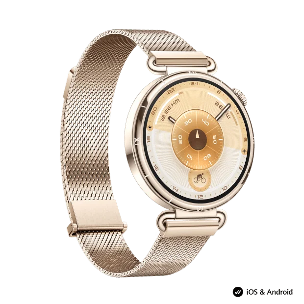 Smart Watch Huawei GT 6 41mm Millanese
