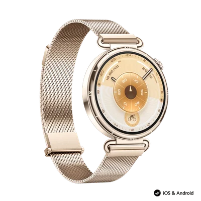 Smart Watch Huawei GT 6 41mm Millanese