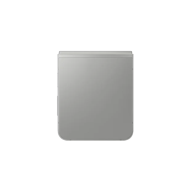 Samsung Galaxy Z Flip6 256 GB Silver