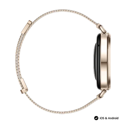 Smart Watch Huawei GT 6 41mm Millanese