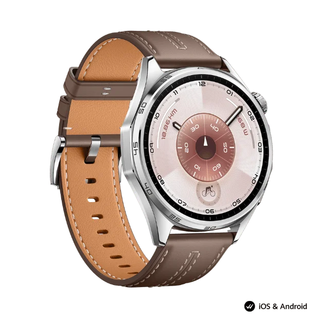 Smart Watch Huawei GT 6 46mm Grey Leather