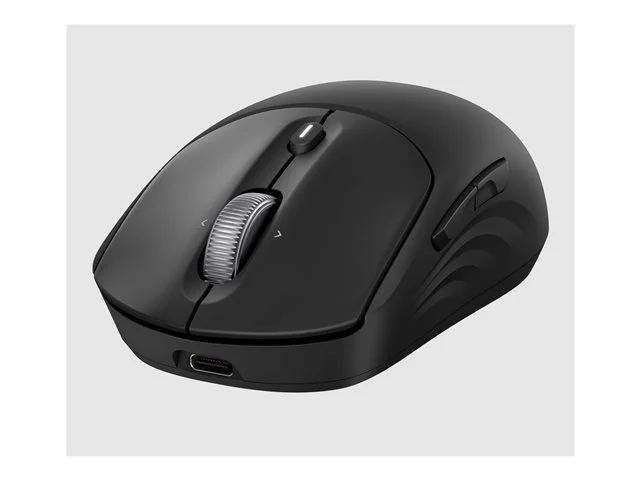 HP 705 Rechargeable Wireless B Mouse