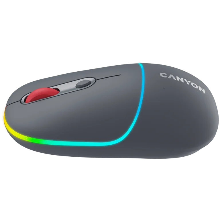 CANYON mouse MW-22 2in1 BT/ Wireless Dark Grey