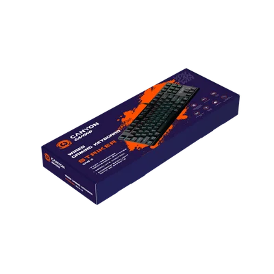 CANYON keyboard Striker SKB-2 TKL Rainbow US Wired Black