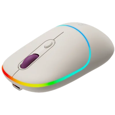 CANYON mouse MW-22 2in1 BT/ Wireless Rice