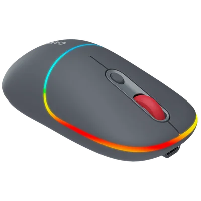 CANYON mouse MW-22 2in1 BT/ Wireless Dark Grey
