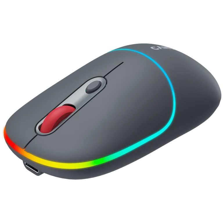 CANYON mouse MW-22 2in1 BT/ Wireless Dark Grey