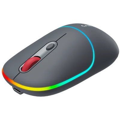 CANYON mouse MW-22 2in1 BT/ Wireless Dark Grey