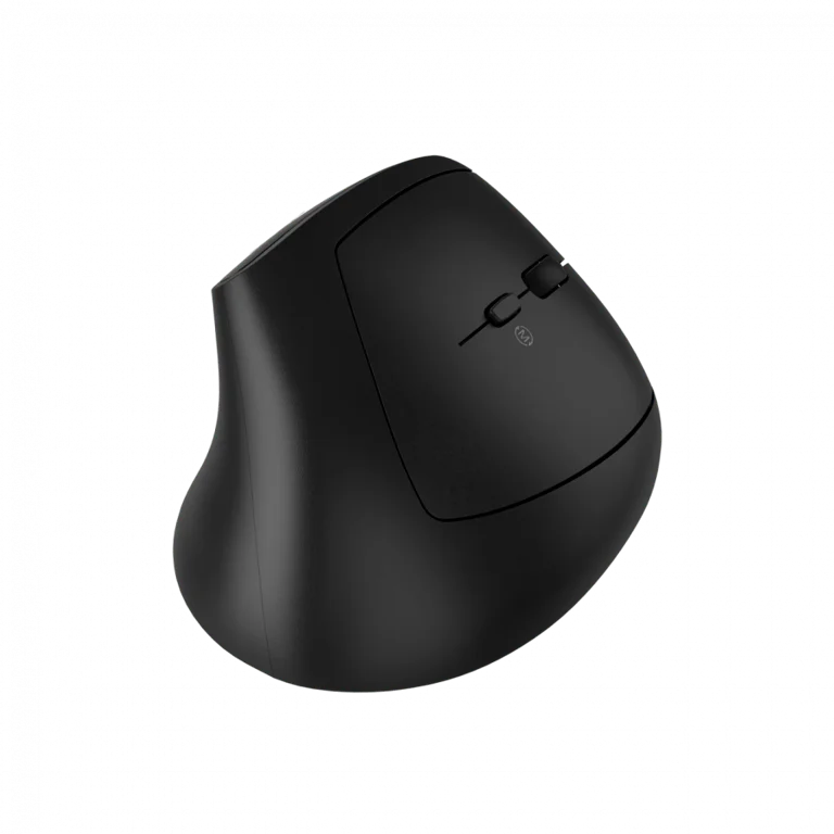 CANYON mouse MW-25 Ergonomic LED AA Dual mode Wireless Black