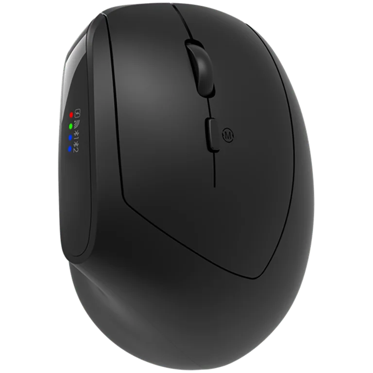 CANYON mouse MW-25 Ergonomic LED AA Dual mode Wireless Black
