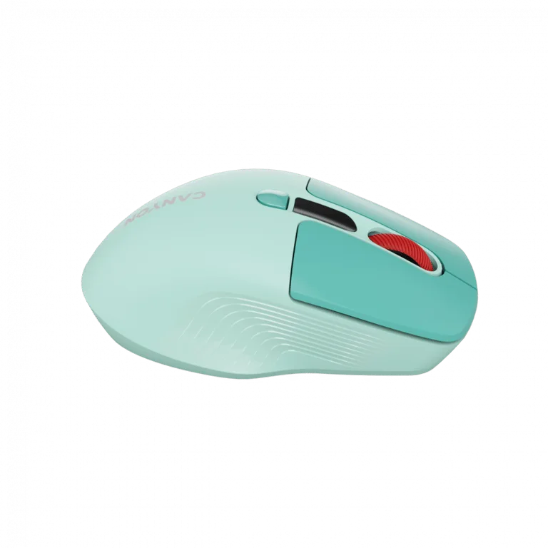 CANYON mouse MW-26 LCD Silent Dual Mode Wireless Green