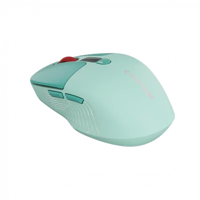 CANYON mouse MW-26 LCD Silent Dual Mode Wireless Green