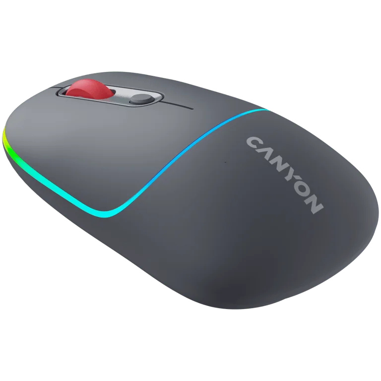 CANYON mouse MW-22 2in1 BT/ Wireless Dark Grey