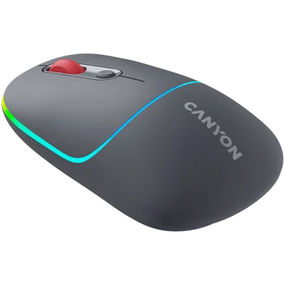 CANYON mouse MW-22 2in1 BT/ Wireless Dark Grey