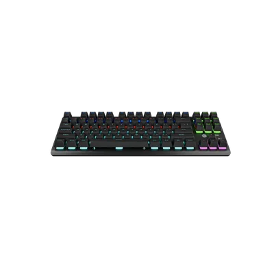 CANYON keyboard Striker SKB-2 TKL Rainbow US Wired Black