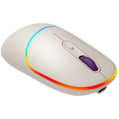 CANYON mouse MW-22 2in1 BT/ Wireless Rice