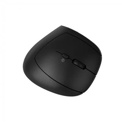CANYON mouse MW-25 Ergonomic LED AA Dual mode Wireless Black