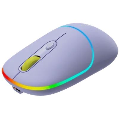 CANYON mouse MW-22 2in1 BT/ Wireless Lavender