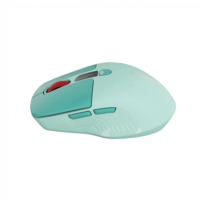 CANYON mouse MW-26 LCD Silent Dual Mode Wireless Green