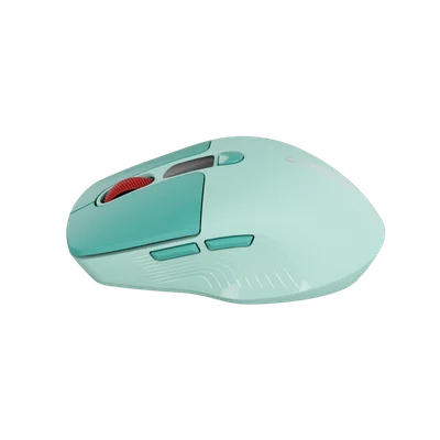 CANYON mouse MW-26 LCD Silent Dual Mode Wireless Green