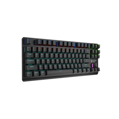 CANYON keyboard Striker SKB-2 TKL Rainbow US Wired Black