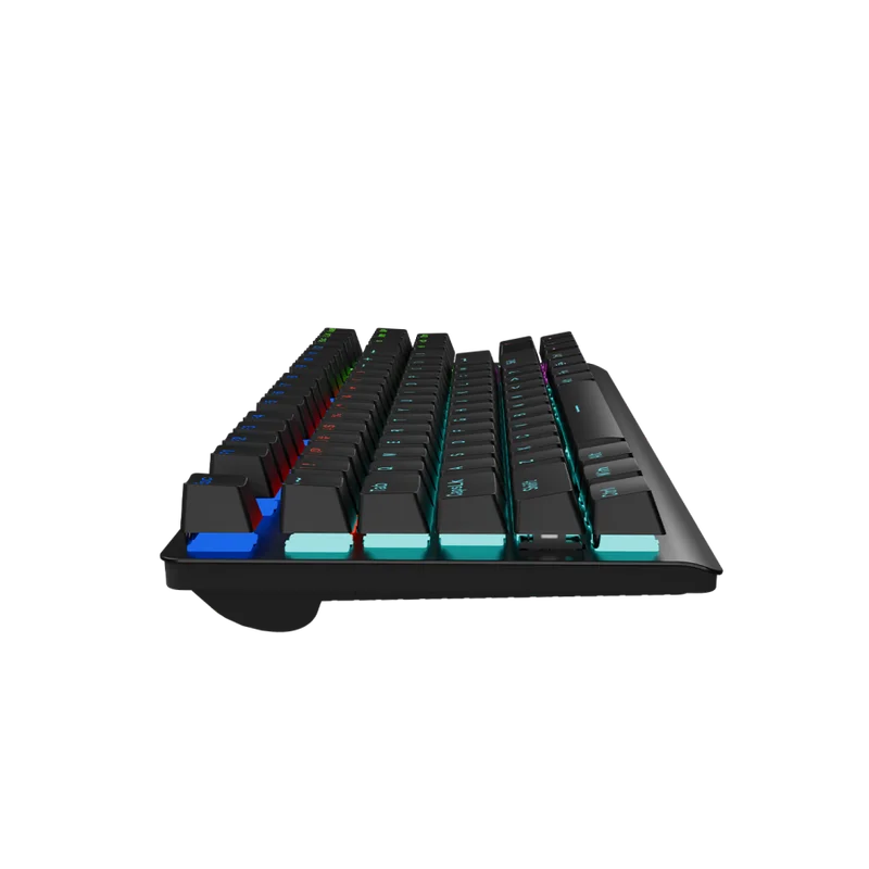 CANYON keyboard Striker SKB-2 TKL Rainbow US Wired Black