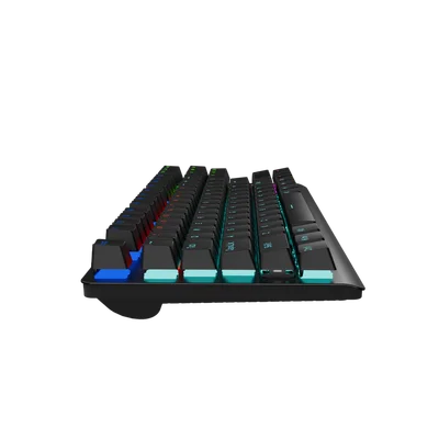 CANYON keyboard Striker SKB-2 TKL Rainbow US Wired Black