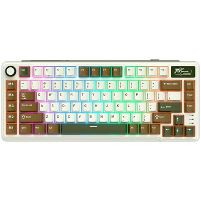 Гейминг клавиатура ROYAL KLUDGE RK L75 Palm Green Cream switch