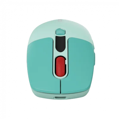 CANYON mouse MW-26 LCD Silent Dual Mode Wireless Green