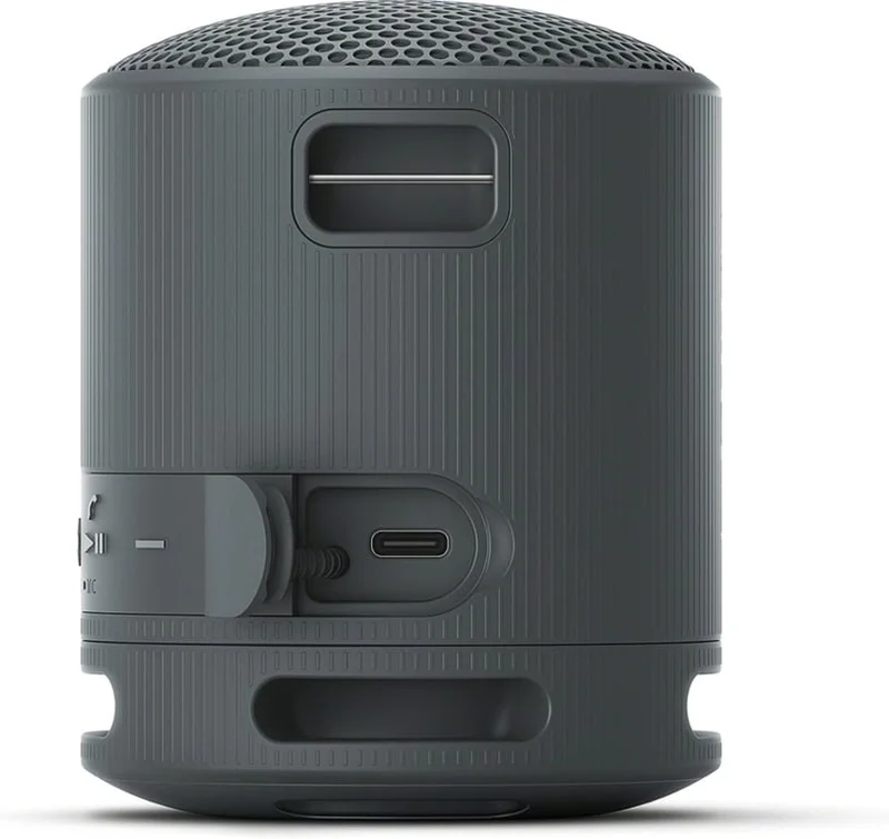 Sony SRS-XB100 Portable Bluetooth Speaker, black