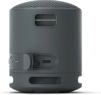 Sony SRS-XB100 Portable Bluetooth Speaker, black
