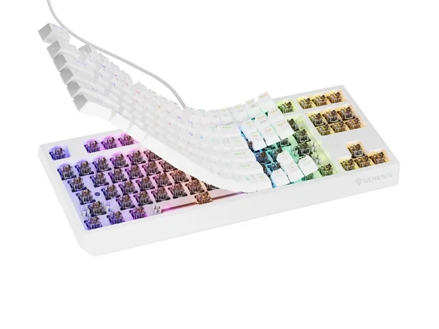Геймърска клавиатура Genesis Thor 230 TKL RGB Outemu Brown Hot Swap Бяла