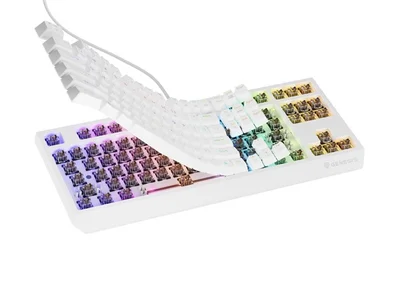 Геймърска клавиатура Genesis Thor 230 TKL RGB Outemu Brown Hot Swap Бяла