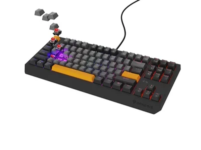 Гейминг клавиатура Genesis Thor 230 TKL Outemu Red RGB Anchor Gray Negative US