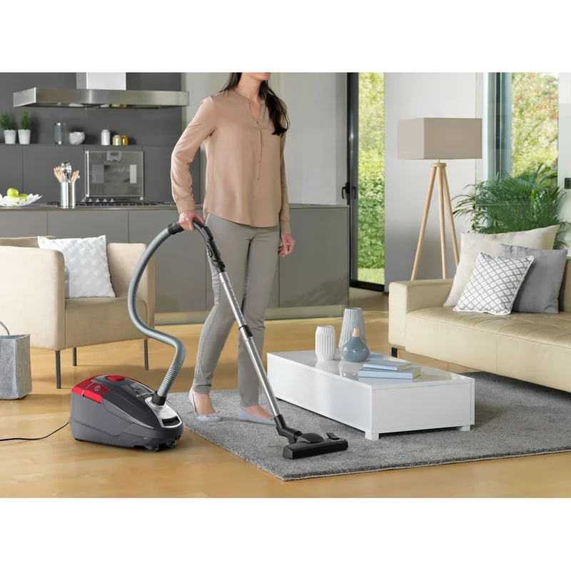 Rowenta RO3186EA, POWER XXL GREY & RED, 4,5L, 450W, 72dB, PRECISION FLEX Mini Turbo Brush, Parquet, 2 in 1(crevice+brush)