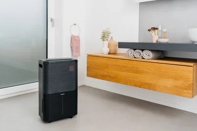 Beurer LE 250 Air Dehumidifier; up to 20 litre/day; rooms  40 to 60 cm2; Laundry drying function; Removable tank: 4.0 l; Automatic mode; Night mode; Timer;  2 fan levels; Environmentally friendly refrigerant R290