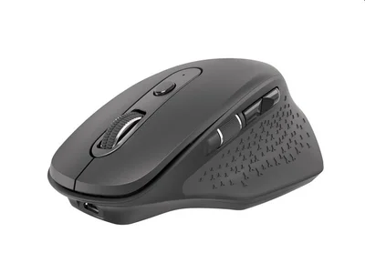 Безжична мишка Natec Falcon 3200 DPI, 2.4GHz + Bluetooth 5.0, оптична, черна