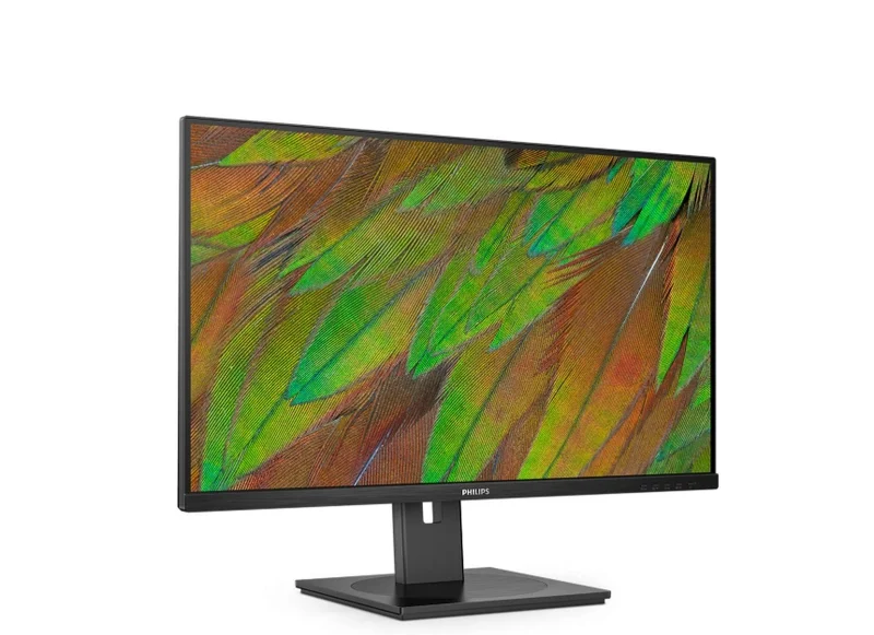 Philips 32B1N3800, 31.5" VA WLED, 3840x2160@60Hz, 4ms GtG, 350cd m/2, 3500:1, 50M:1 DCR, Adaptive Sync, FlickerFree, LowBlue Mode, 3Wx2, Tilt, Height Adjust, Pivot, Swivel, 2xHDMI, DP, USB hub