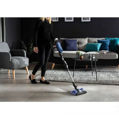 Rowenta RH20C0WO VERSATILE X-FORCE 9.60 AQUA Allergy