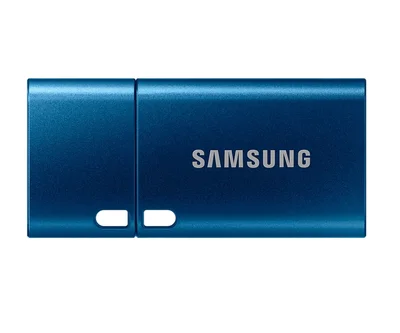 Samsung 256 GB Flash Drive, Read 400 MB/s, USB-C 3.2 Gen 1, Water-proof, Magnet-proof, X-ray-proof, Blue