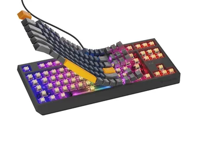 Геймърска клавиатура Genesis Thor 230 TKL RGB Mechanical Outemu Panda Black