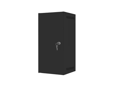Lanberg rack cabinet 10" wall-mount 12U/280x310 for self-assembly with metal door black (flat pack)