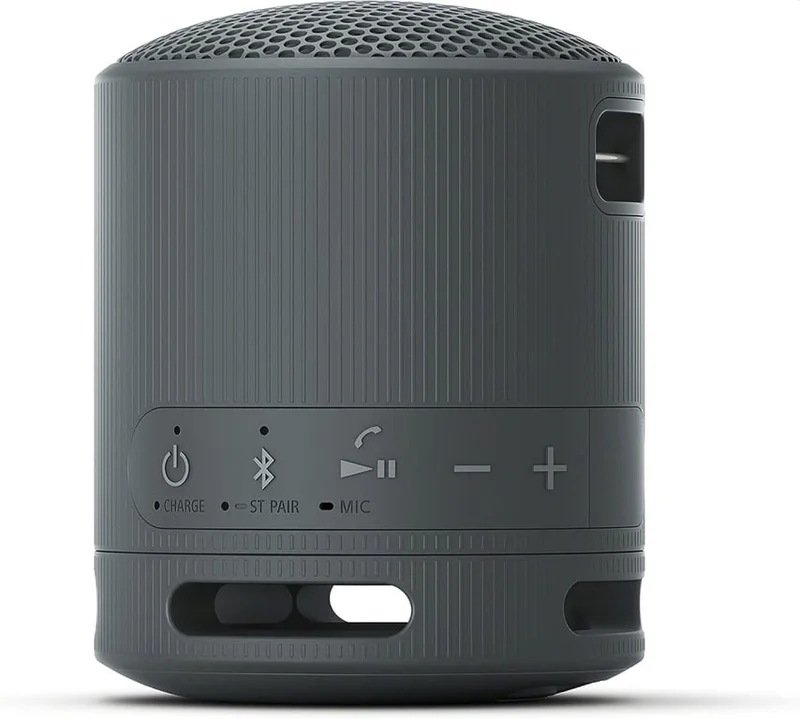 Sony SRS-XB100 Portable Bluetooth Speaker, black