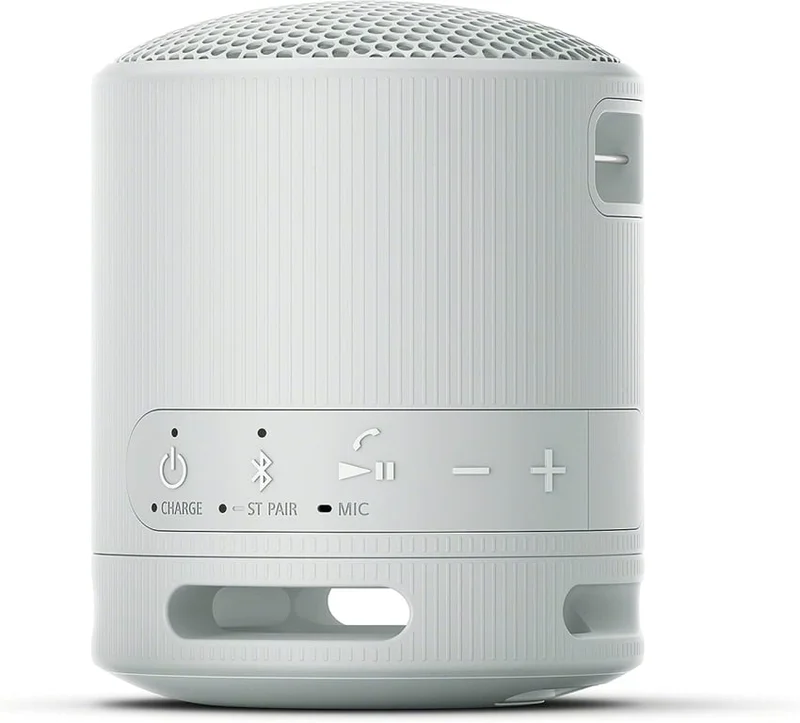 Тонколона Sony SRS-XB100 Bluetooth, сивa