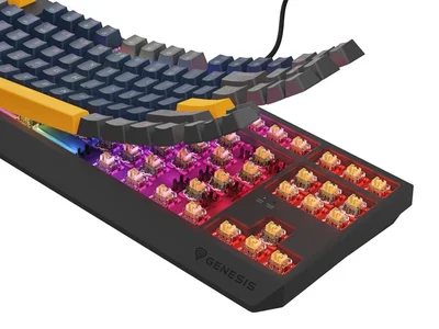 Геймърска клавиатура Genesis Thor 230 TKL RGB Mechanical Outemu Panda Black