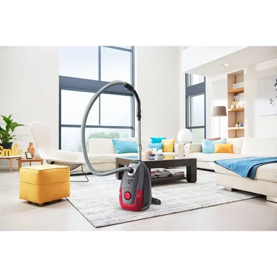 Rowenta RO3186EA, POWER XXL GREY & RED, 4,5L, 450W, 72dB, PRECISION FLEX Mini Turbo Brush, Parquet, 2 in 1(crevice+brush)