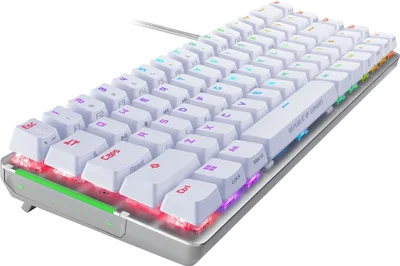Asus ROG Falchion Ace 65% compact gaming keyboard with pre-lubed ROG NX mechanical switches with ROG switch stabilizer, sound-dampening foam, interactive touch panel, dual Type-C ports, three keyboard tilt angles, and cover case, US layout, White