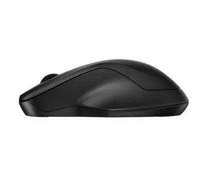 HP 255 Dual Wireless Mouse